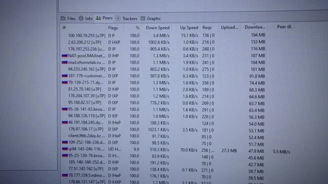 Application interface showing real-time peer information, including IP addresses, download and upload speeds, data transfer volumes for numerous connected users within file-sharing network, close-up.