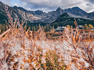 Hala Gasiennicowa Valley in Polish Tatras - Tatra Mountains