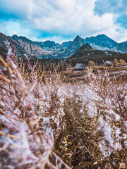 Hala Gasiennicowa Valley in Polish Tatras - Tatra Mountains