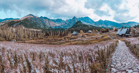 Hala Gasiennicowa Valley in Polish Tatras - Tatra Mountains