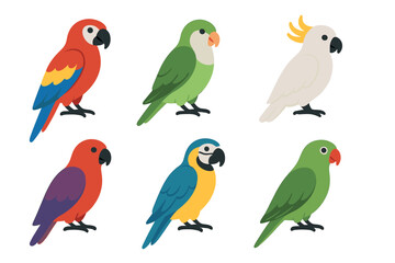 Obraz premium Parrot and tropical bird species flat vector set. Colorful collection of macaw, cockatoo, and parakeet illustrations.