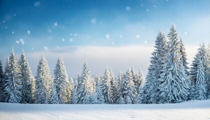 Naklejka premium Serene Winter Landscape With Snowy Fir Trees And Sparkling Bokeh Under A Pale Blue Sky