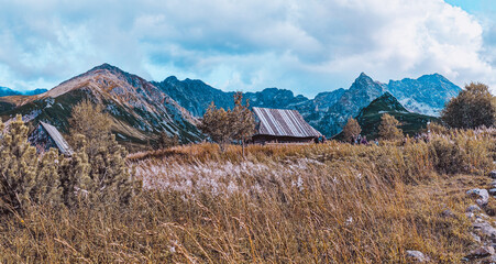 Hala Gasiennicowa Valley in Polish Tatras - Tatra Mountains