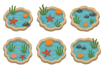 Tide pools with marine life vector illustration set. Isometric collection of rock pools with starfish and seaweed.