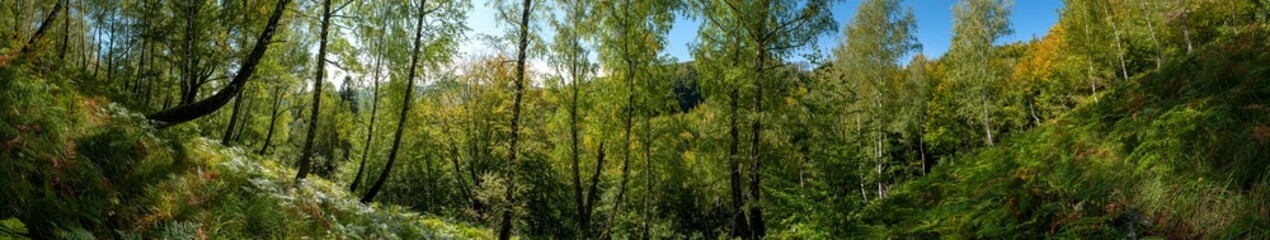 Panoramic nature landscape, soft pastel colors, dream nature, sunset autumn background, peaceful amazing nature panorama