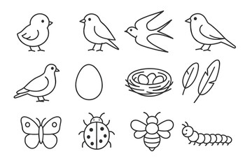 Birds insects eggs and nests line art set