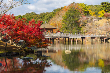 Fototapeta premium 日本の風景・秋 奈良公園 浮見堂と紅葉