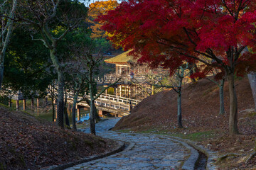 日本の風景・秋　早朝の奈良公園　浮見堂と紅葉