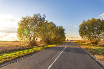 road in autumn