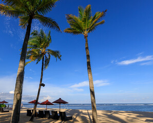 Beach scene with palm trees and umbrellas