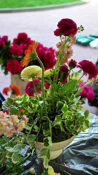 florist inserts orange gerbera into a wedding multi-colored ekibana in a vase. wedding flower arrangement
