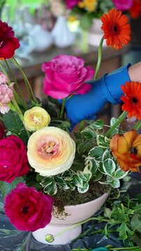 Florist inserts pink rose into colorful wedding ekibana in vase. Wedding flower arrangement. Ranunculus, gerbera, rose
