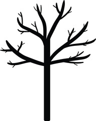 Silhouette of a leafless tree with bare branches
