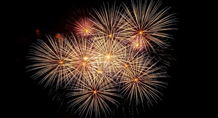 Fototapeta premium Bright golden fireworks exploding in a dark night sky, creating a dazzling display of light and color, celebrating a special event or holiday