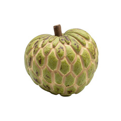 Obraz premium A single custard apple fruit isolated on transparent background