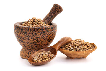 Coriandrum sativum or Coriander seeds  isolated on white  background.