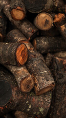 Pile of freshly cut logs