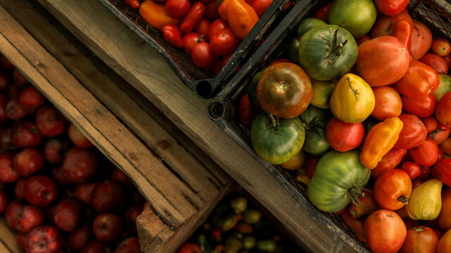 Freshly harvested tomatoes in wooden crates, ready for market.