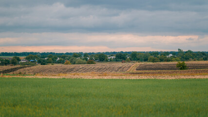 Obraz premium Picturesque rural landscape with fields, trees, and a village under a cloudy sky.