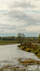 Serene River Flowing Through a Lush Landscape Under a Cloudy Sky