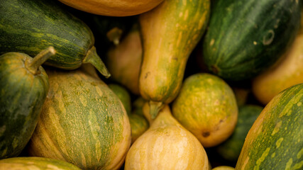 Close-up of a pile of fresh, ripe pumpkins ready for harvest.
