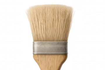 Paintbrush head with natural bristles and a wooden handle. Tool for applying paint, varnish, or glue on a transparent background