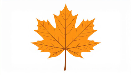 Nature and Plant Illustrations
