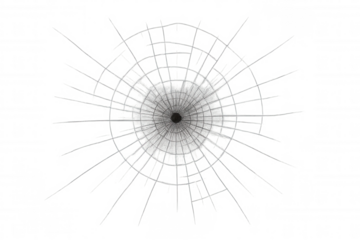 Broken glass with a central bullet hole, shattered impact, and radial cracks on a transparent background