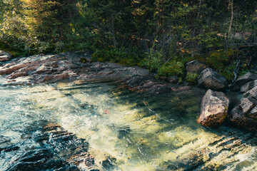 Rocky stream edges forest with clear water flowing over rock bed.