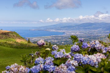View of the northern coast and natural green pastures of São Miguel Island and blue ocean. Azores, Portugal.