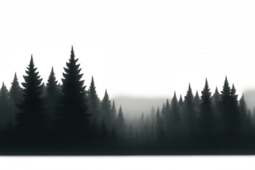 Forest trees silhouettes in dense fog with transparent background, nature scene creating a mysterious mood