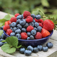 Fresh locally grown fruits - blueberries, raspberries, straw