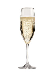 Elegant Champagne Flute with Bubbles