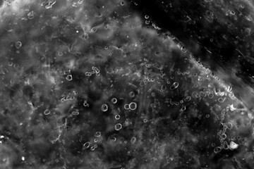 Monochrome of frozen ice block texture