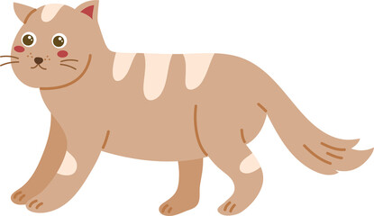 cute cat illustration