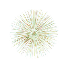 Obraz premium Explosion of vibrant colors radiating outwards from a central point, creating a starburst or dandelion seed head effect