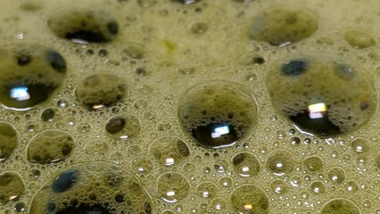Matcha Foam Macro Series