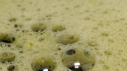 Matcha Foam Macro Series