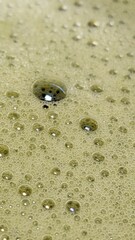 Matcha Foam Macro Series