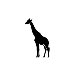 Giraffe silhouette simple design isolated white background