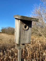 wooden bird house