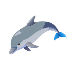 Obraz premium dolphin 