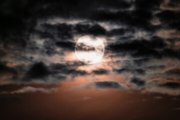 Obraz premium The Harvest Moon supermoon rises illuminating the cloud covered sky