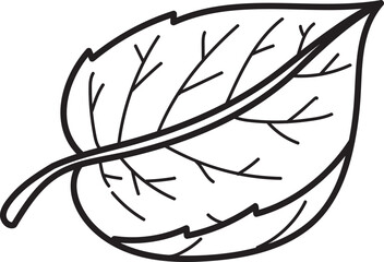 Naklejka premium Stylized botanical leaf outline illustration. Simple black line drawing of a natural leaf with prominent veins, a versatile design element.