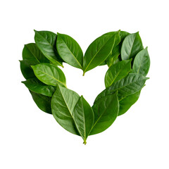 Heart shape formed by lush green leaves against a stark black background, symbolizing nature