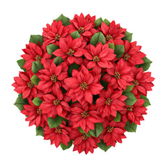Top View Arrangement of Poinsettia Flowers in Perfect Circular Pattern on Transparent Background