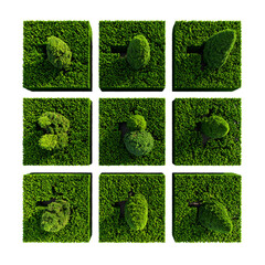 Nine square frames showing green moss with unique central formations, set against black