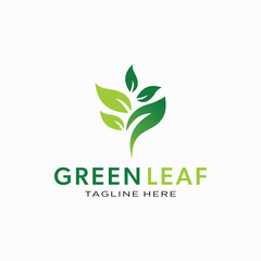 Green Leaf Logo Nature-Inspired Brand Identity