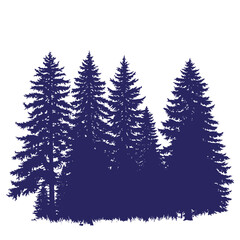 Fototapeta premium Silhouette of a majestic pine forest in a vintage dark blue color on white background