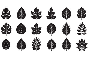 Fototapeta premium Collection of various black leaf silhouettes isolated on transparent background